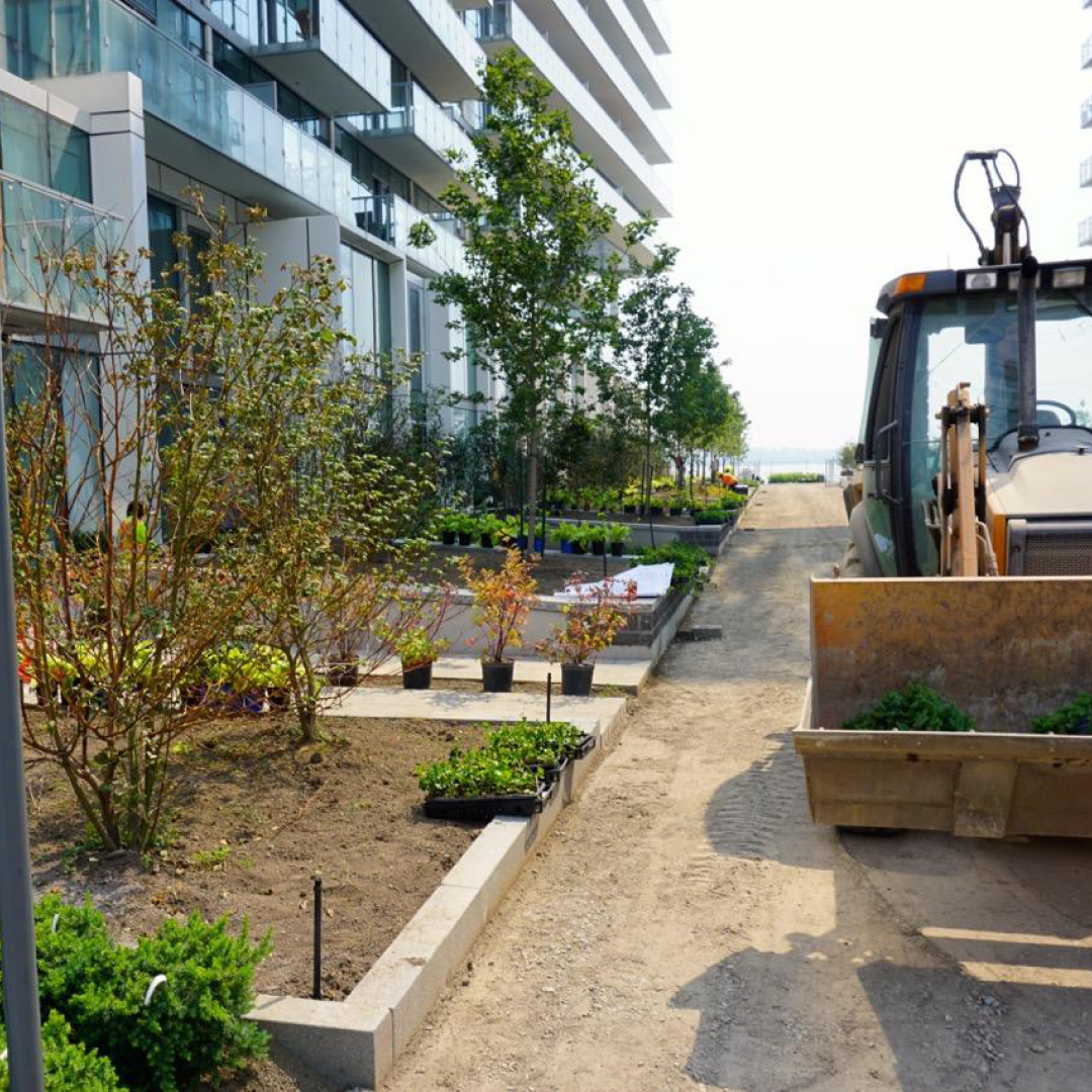 Incredible Landscaping BEFORE
